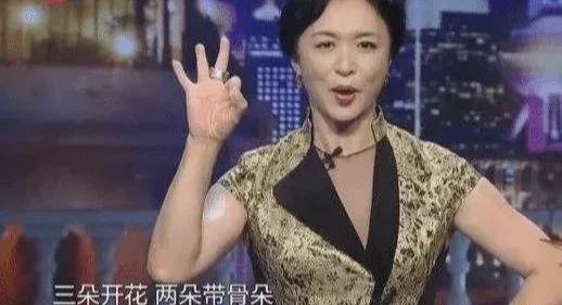 金星爆料整容女星视频大全